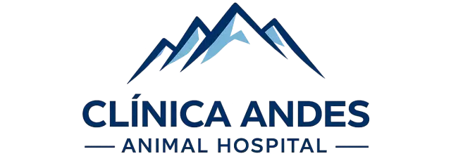 Clínica Andes